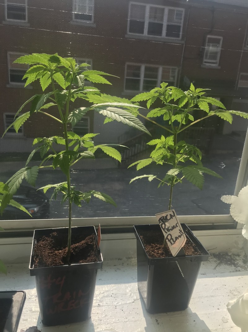 6317147B-2516-42E5-826F-9DD86A827C0A