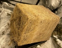 437AFAAA-6E16-4E38-B264-94A360CE69CE