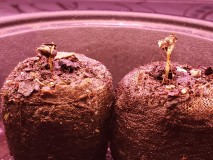 16298463642092311464648020209849