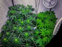 0C0A23F3-F1EF-4CE3-8828-B29293E738C7