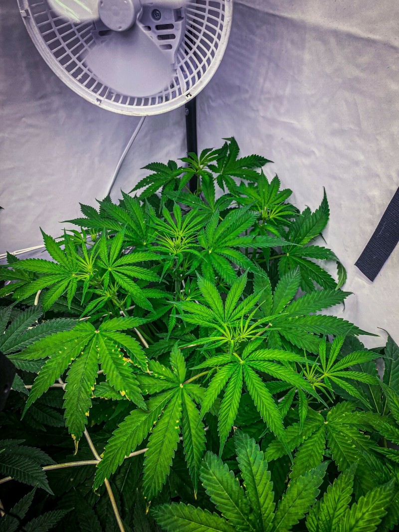 CC2BFE17-A08C-4FE7-B0F5-2990A1594396