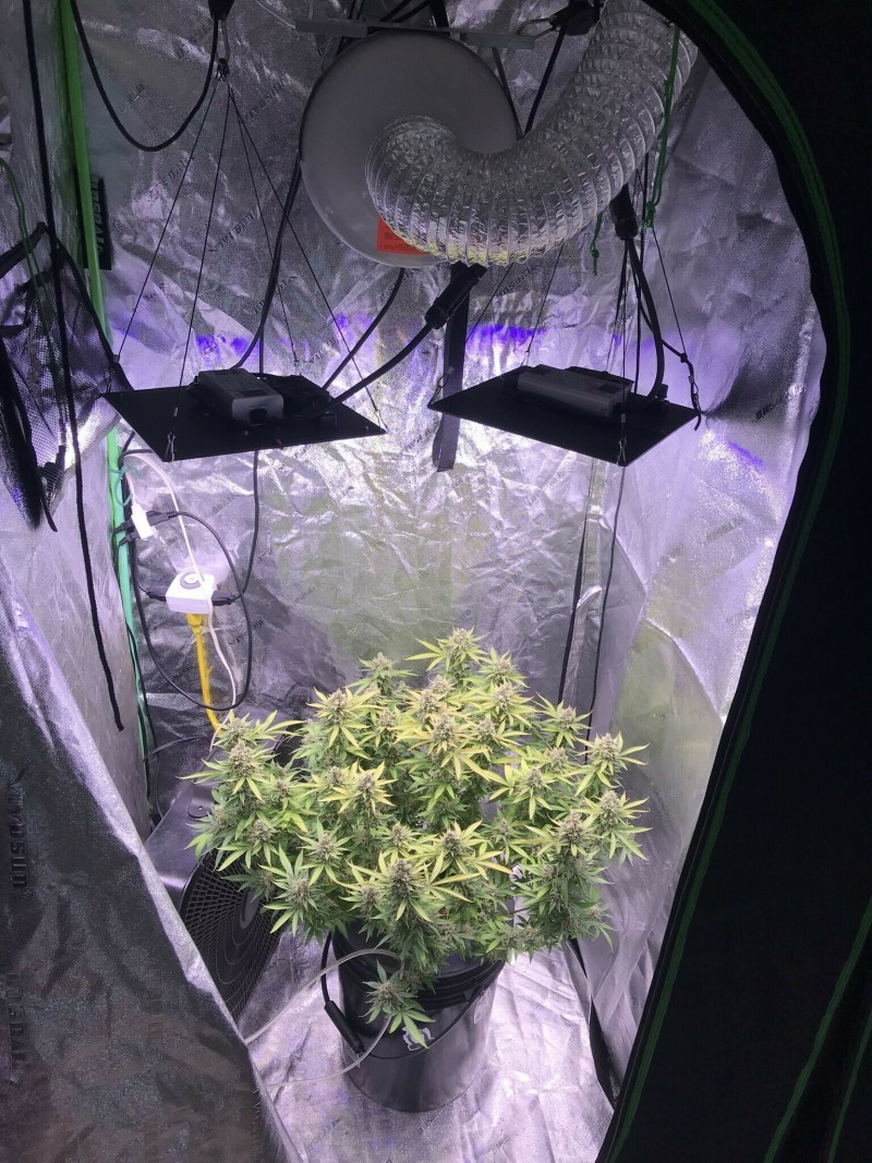 7CCC5F10-2B30-40A2-843D-E8A3D41B4D1A