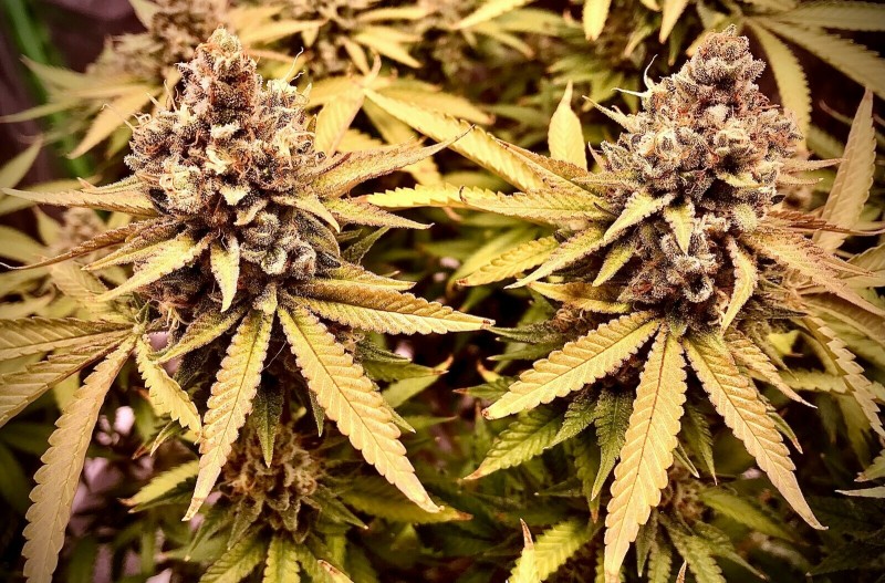 AF5B0D80-A5D6-4AF8-AFB4-4938468C3673