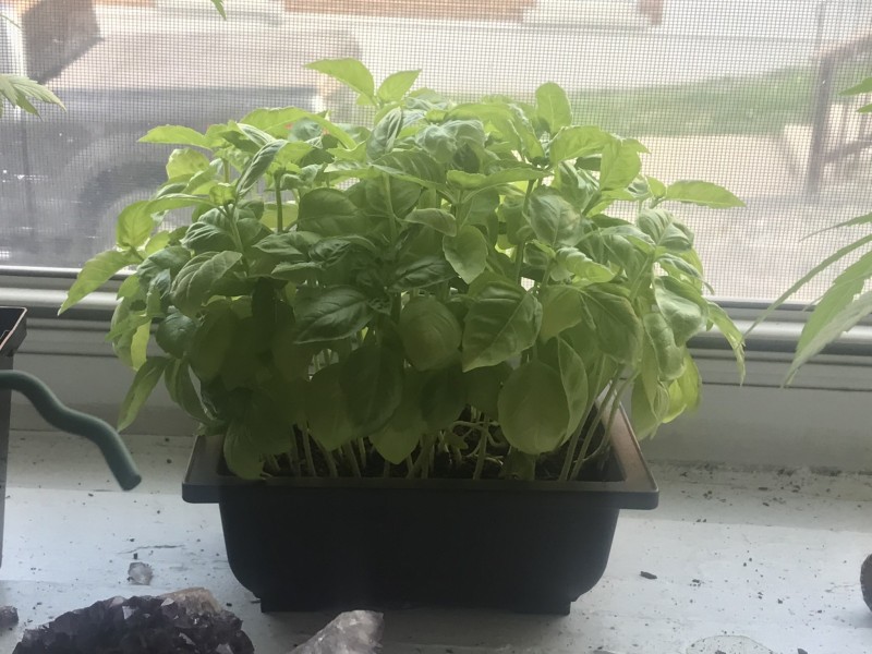 BAC454A2-D35C-4BF5-81AB-DC626D6FFC8F