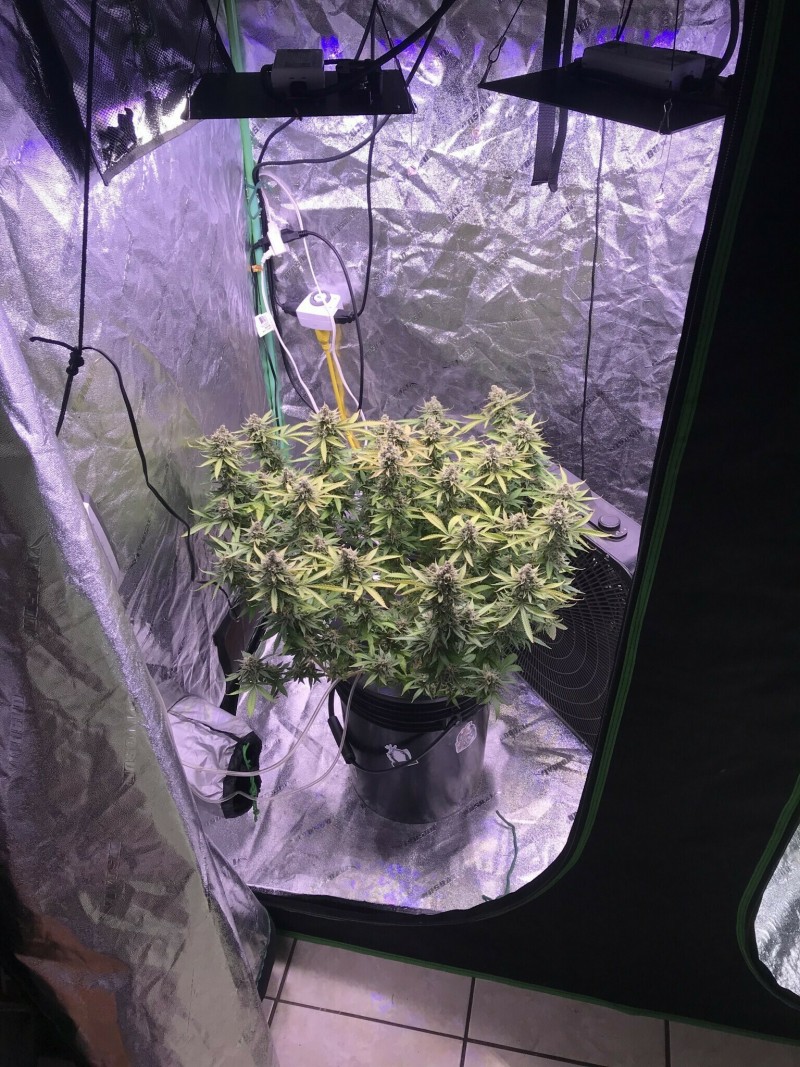 C076F42D-C9B7-4C75-B2AE-2A1EE96548F0