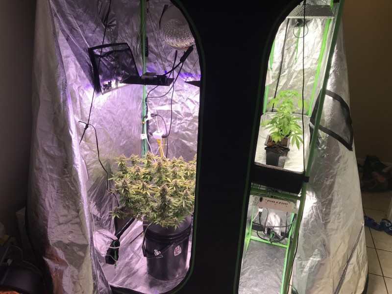 A26B17CE-0604-46BC-A4F6-FA0D82FB4467