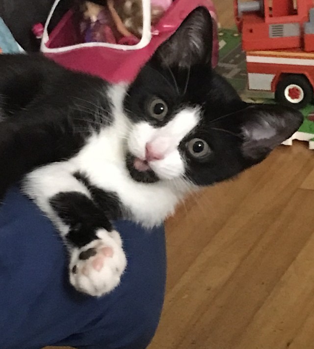 48BF0243-E984-4B23-B40E-DB75BB557A91