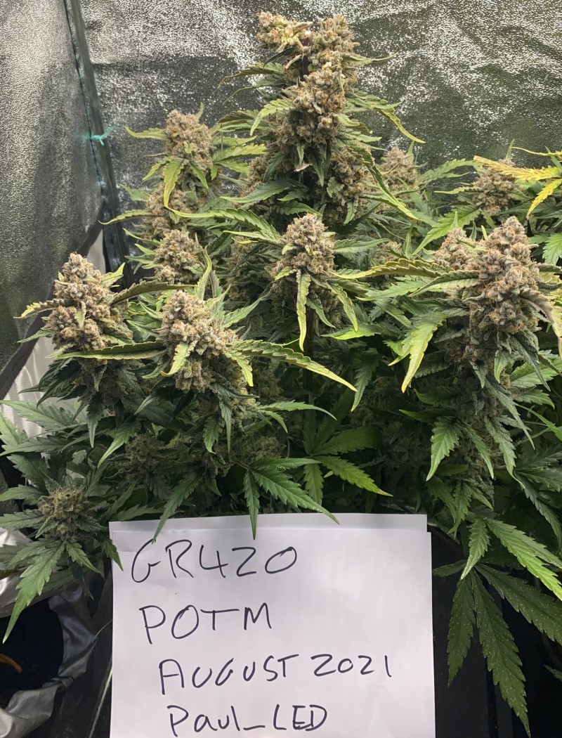 1E550EC1-2512-4E55-BDA5-804C7618E0B3