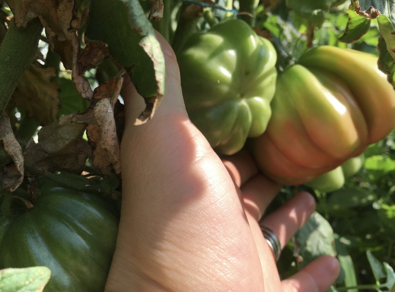 297EF37F-F9A0-42A1-9916-0A122A3851B7