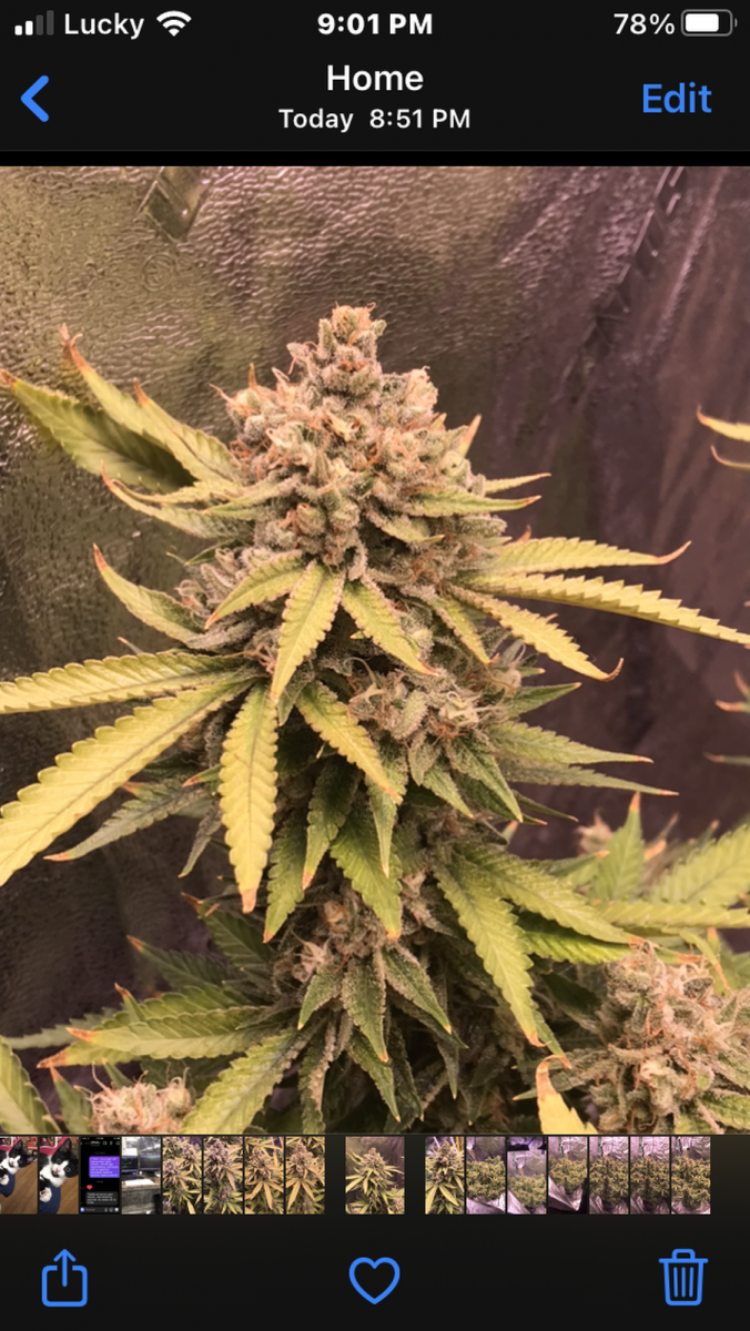 A3DEF281-BF14-4E05-AE5F-20142302FB39