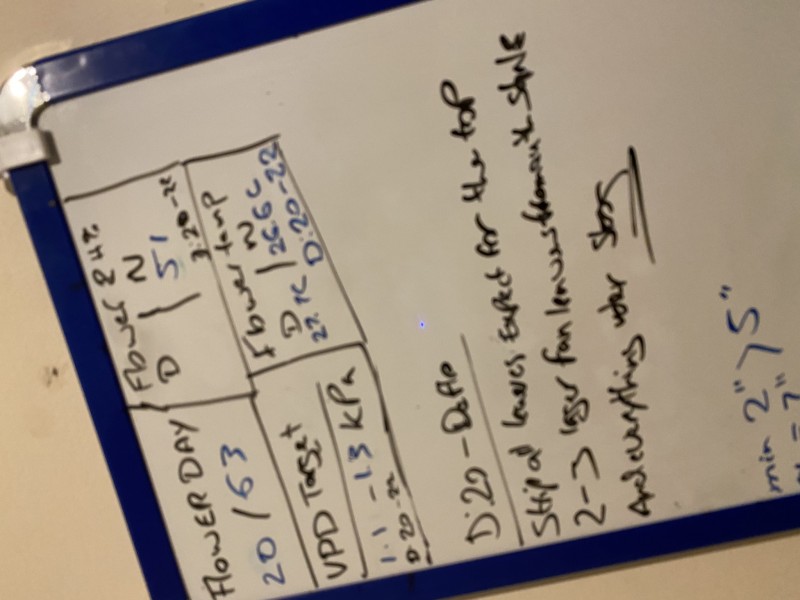 D2675164-4823-498A-85E2-87D793F11AC8