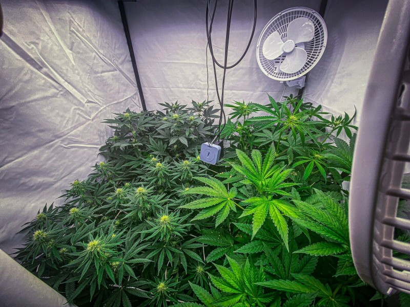 392882C1-988A-4389-9595-811620A4B0DB