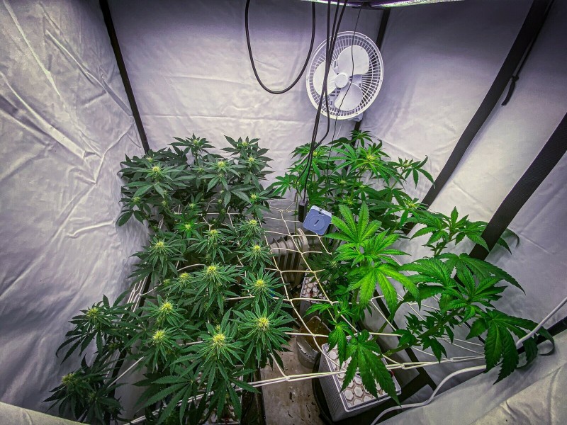 41C03B09-D91E-4D20-9BBE-A17FE4FBB8F3