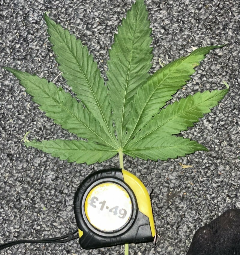 9294A4CF-9777-4652-8EE5-FC2ED58C5366