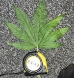 9294A4CF-9777-4652-8EE5-FC2ED58C5366