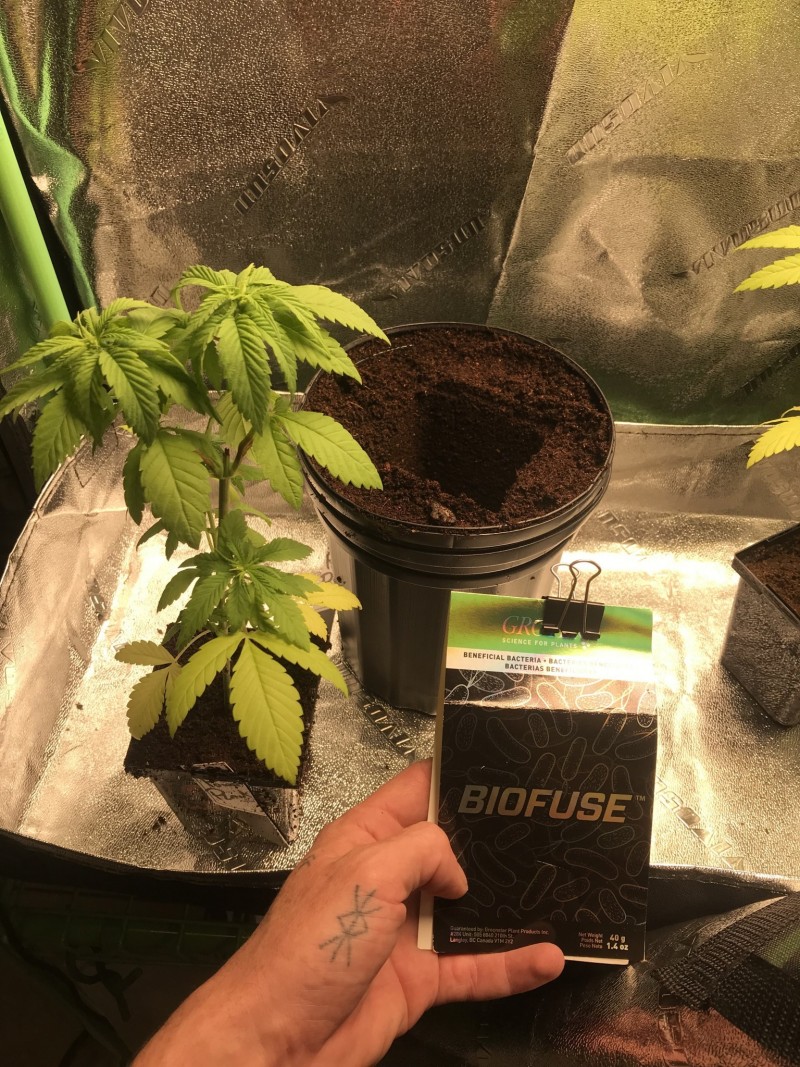 2ED4774D-E328-4774-A6F4-3DAD924B1B82