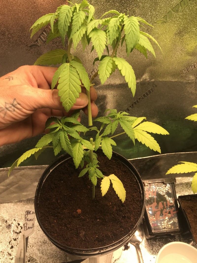 66A4E078-8386-4C38-9D51-37E436202D94