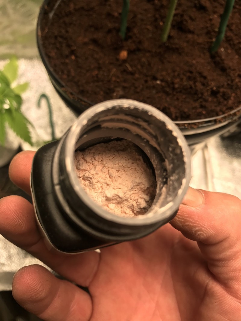 F3737B15-C35F-4221-BB3F-AF303ED5D823