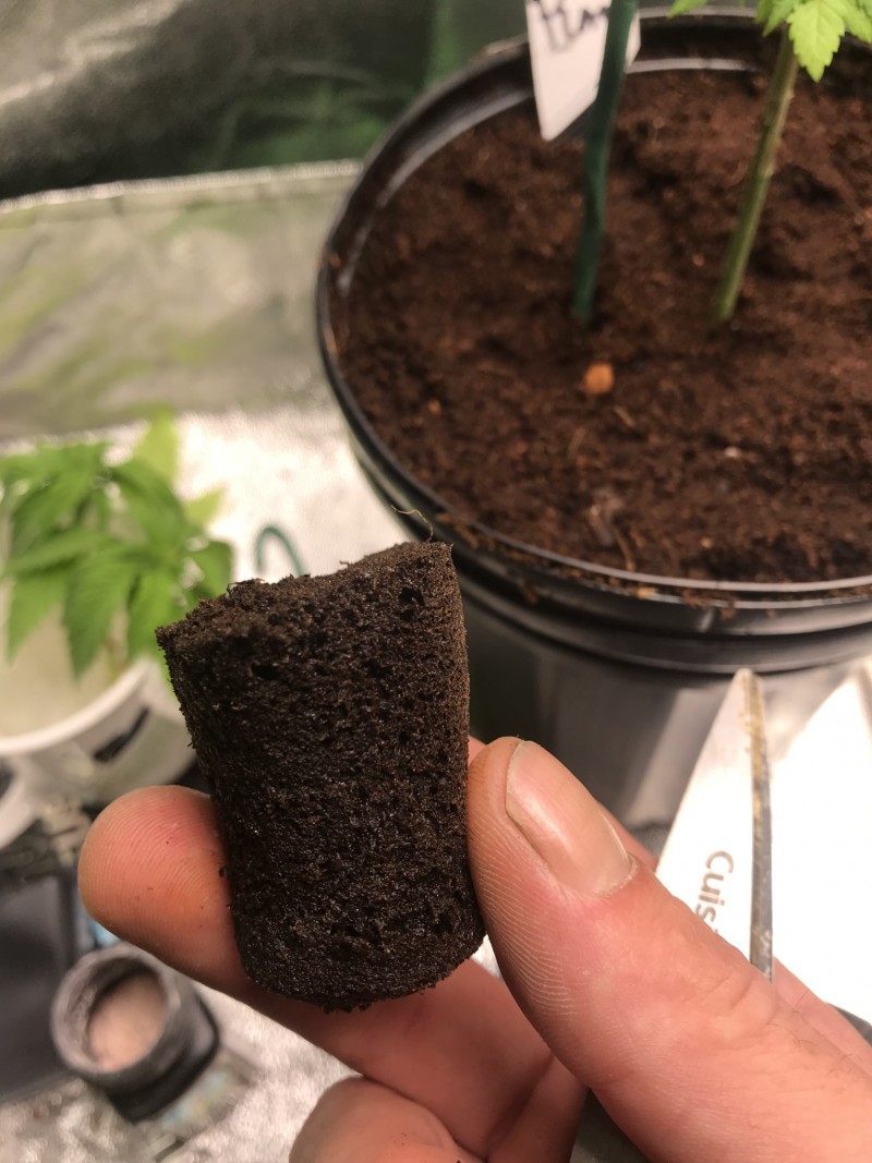 B83C87F8-5F66-43A0-88BE-3AEFB1D92934