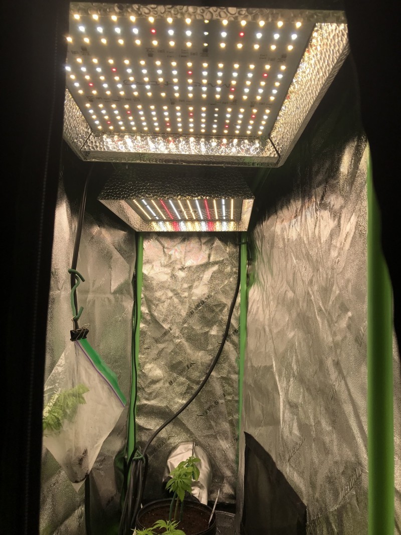 C75801EE-F6C5-4827-A024-569550AE4C48