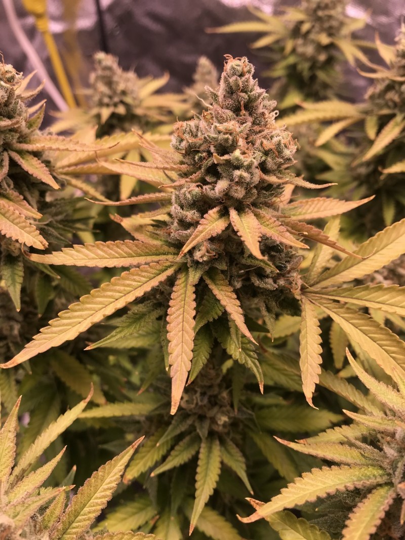 FC7FB665-F56C-4161-B29D-DDCBDD467D5A