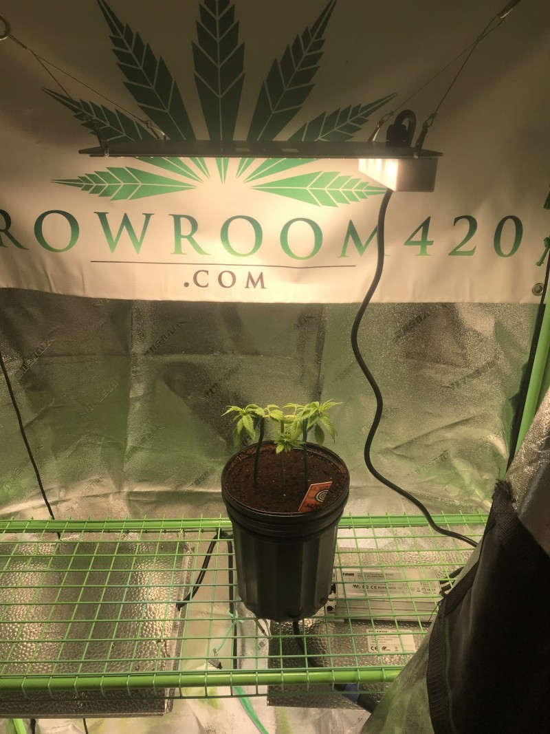 D4D0BF6D-D180-4E6A-B77C-C0ECA9F02392