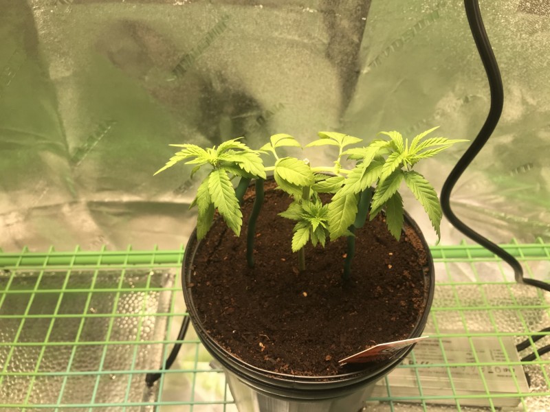 B4142C1C-0051-47BE-9E13-99A05FE5771E