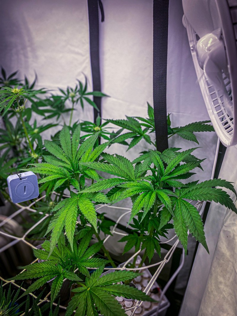 44805D85-C247-4FF4-A92A-12FD5A3DAE1F