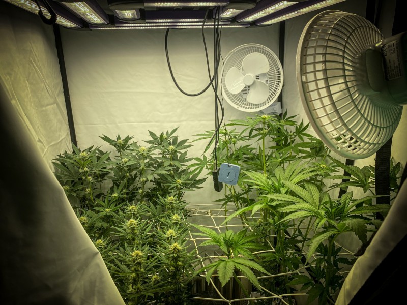 4682B937-BE62-4316-AFD5-9E207DD5E102