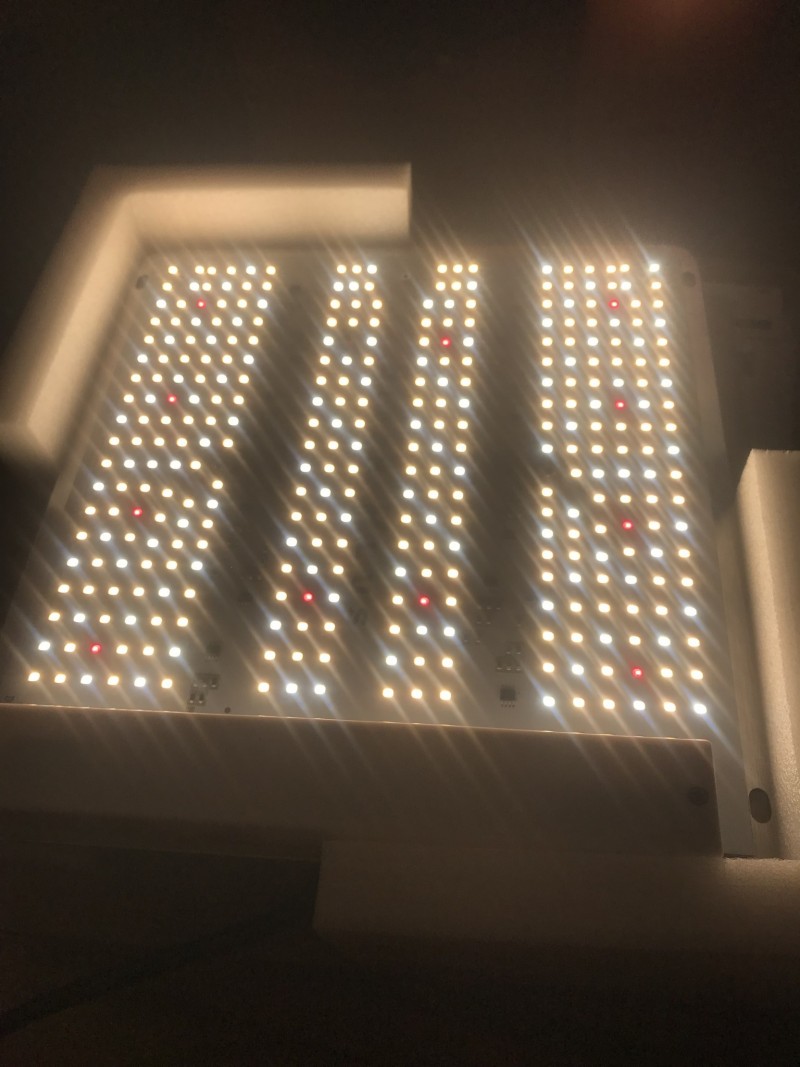 68ACAEFA-E988-4396-9F30-D40032CD49D2