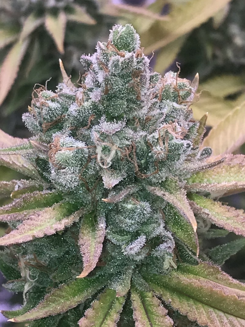 906CAB0A-0F31-4704-B4AB-6D726313CB22