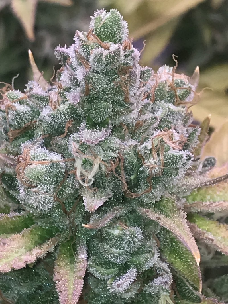 842ED895-7203-4FDE-9FC1-072BA92F1460