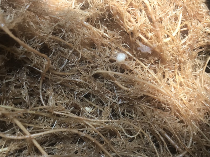 86F074AC-3433-4573-BB19-EE0E91837B51