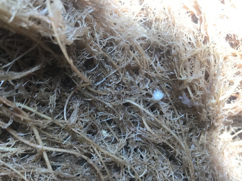 5D92CA6B-B9C0-4D2F-9F3C-9CE09C0E188C