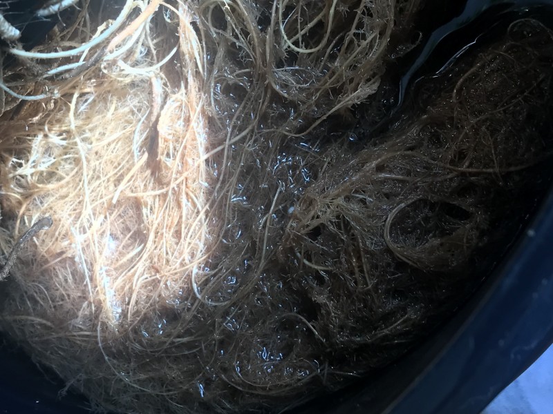 506C4468-8B17-47CE-AC9E-71AA010B2166