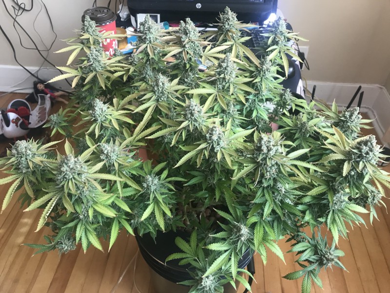 5BC958A2-5996-419A-A5DE-BC0976151CCE