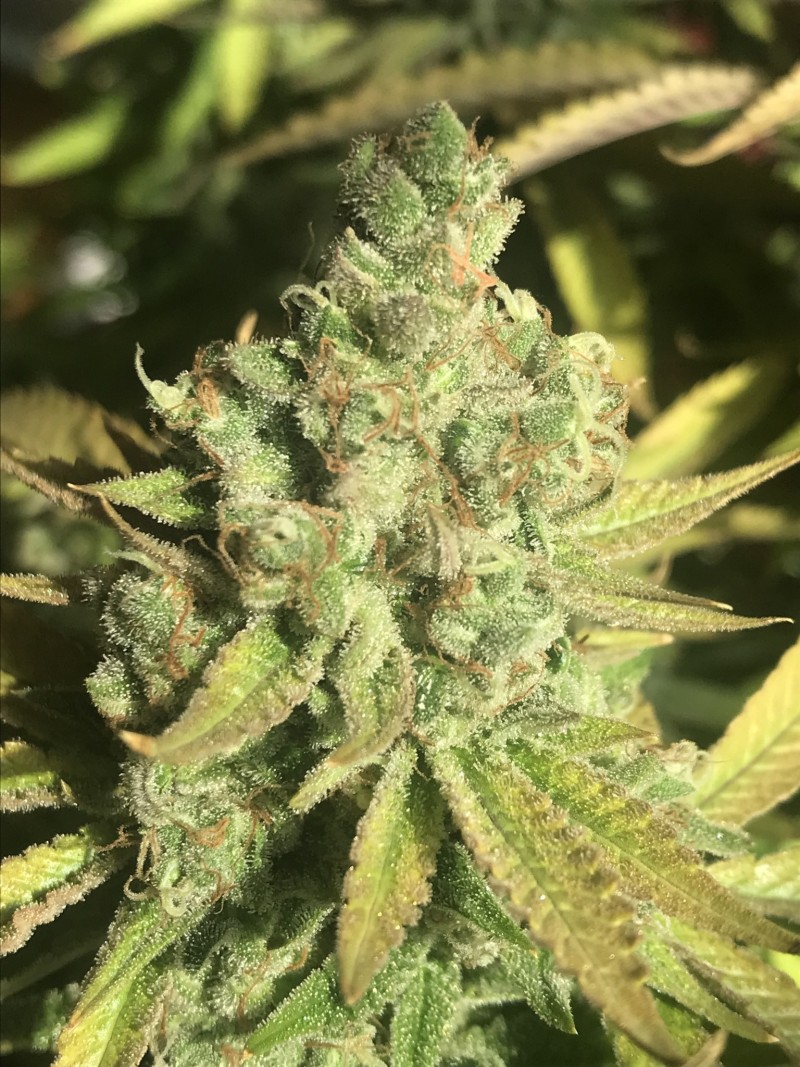 15F470AD-8A78-4B5A-BA17-165F66992289