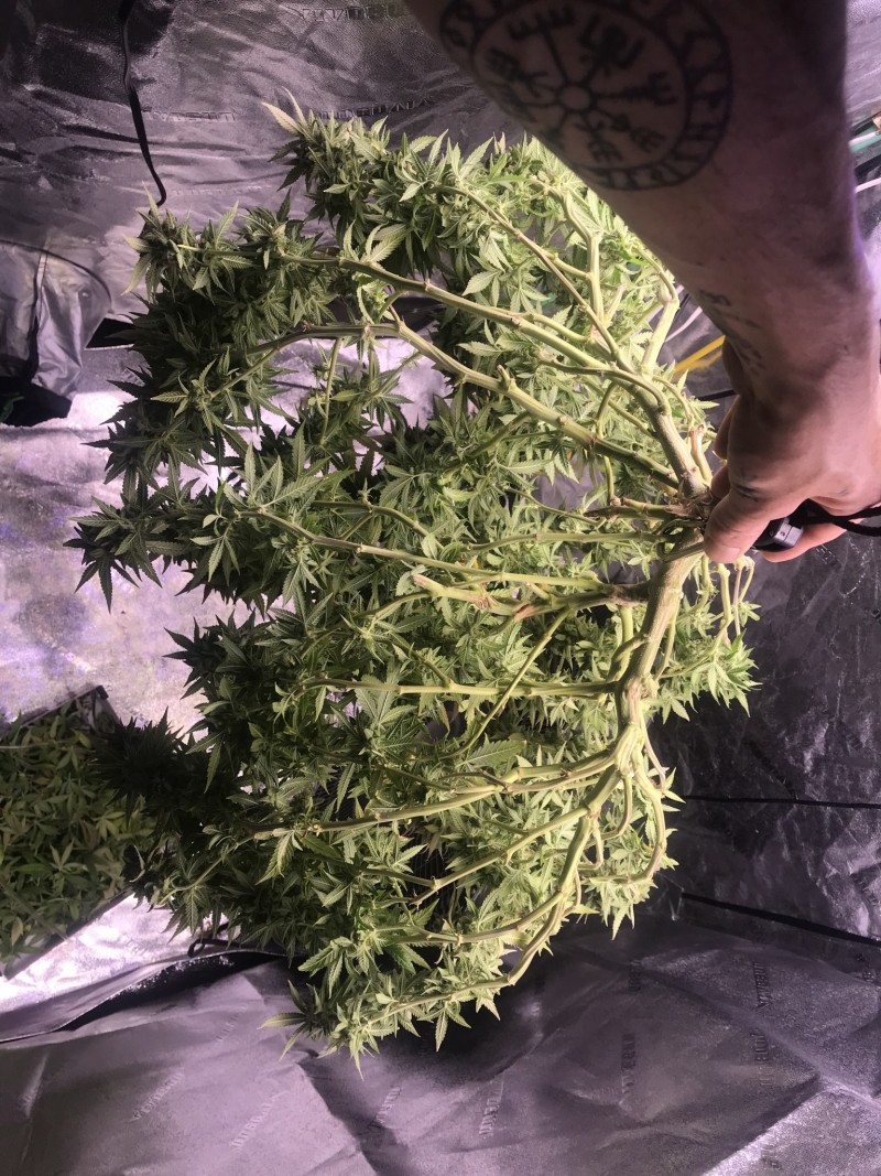 77EEA47F-F9DB-472F-9935-B8BFDDF2B801