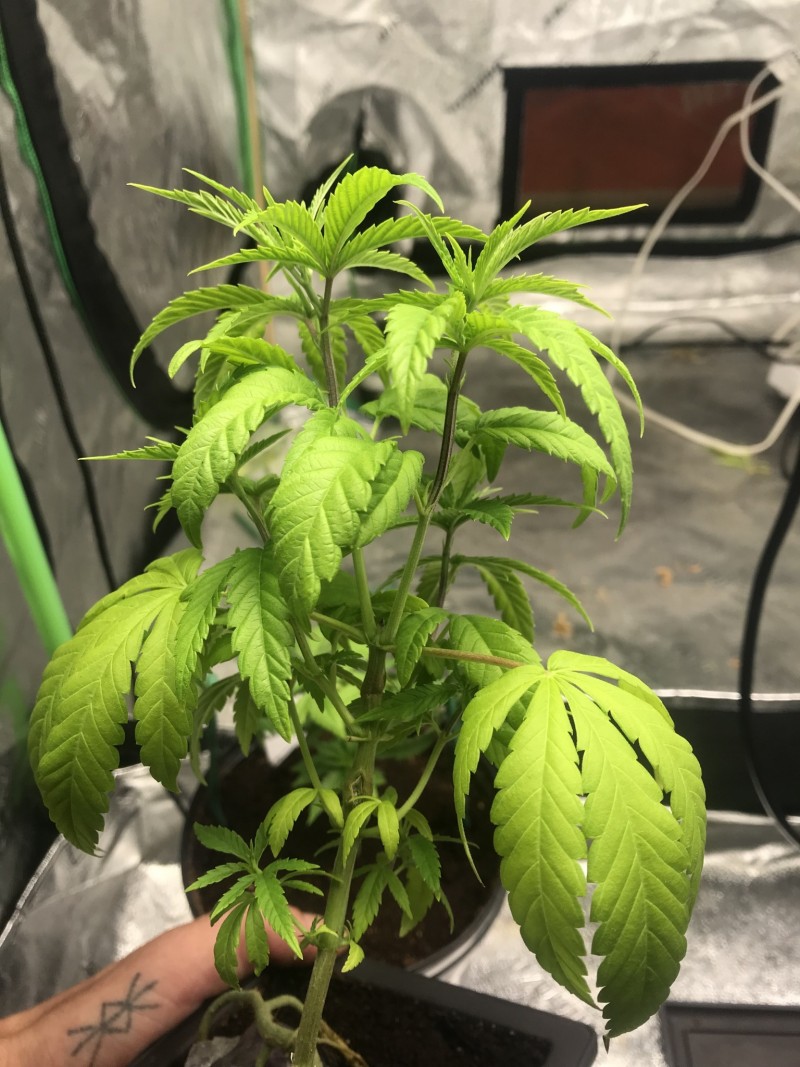 039403A5-7BC7-4273-B7C9-37C53FCDC473