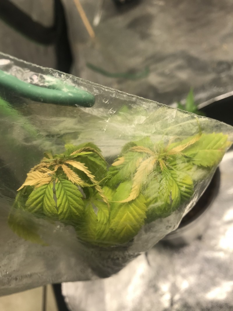 20143F62-7A3C-427E-9E59-90AB5B94107A