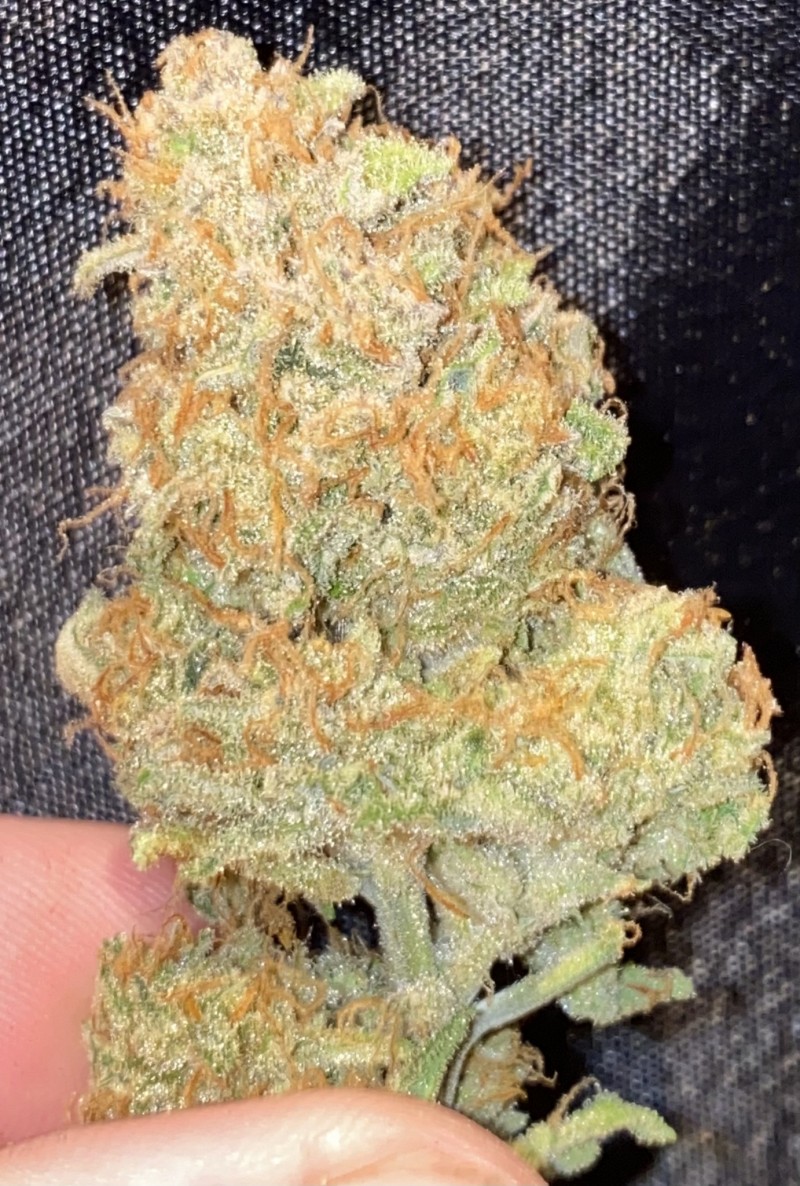 D78E0CBC-DD5E-43C7-B770-35B95DFD8B56