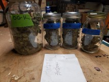 16306875150802608959704196949563