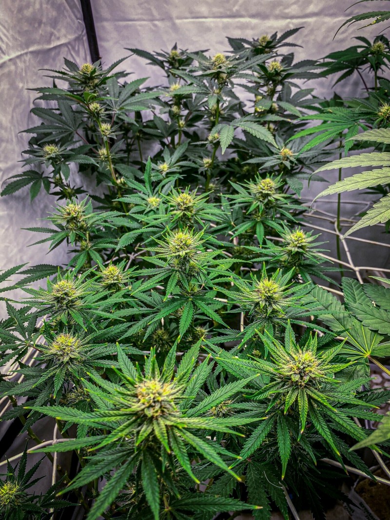 025B72B0-A870-4A1C-AD17-D419358C5CBA