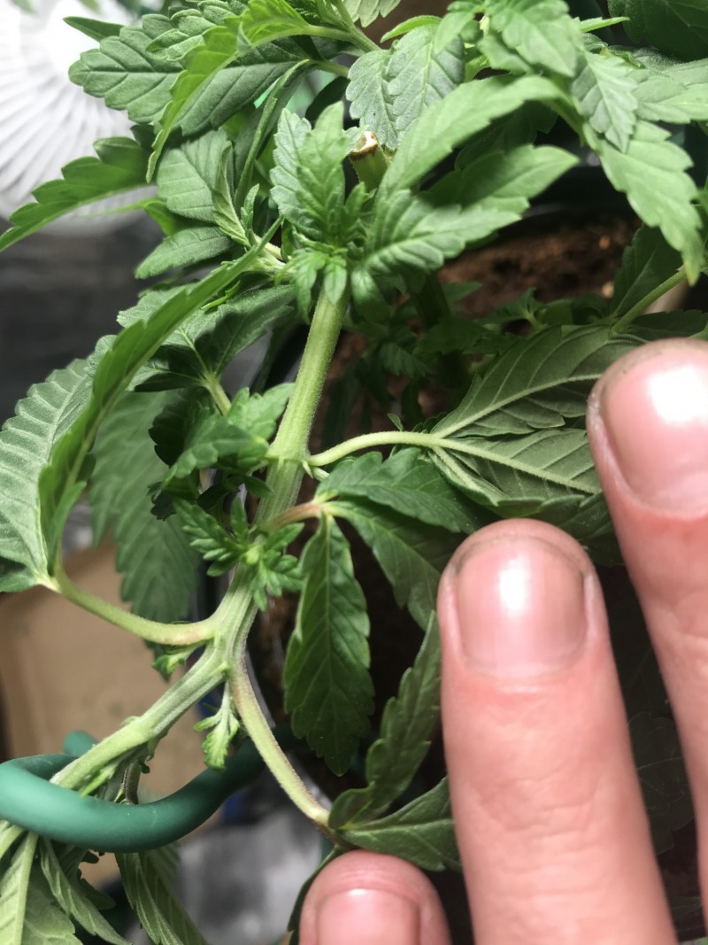 60B6F38E-D6E4-4BEA-B407-3732A9669FC9