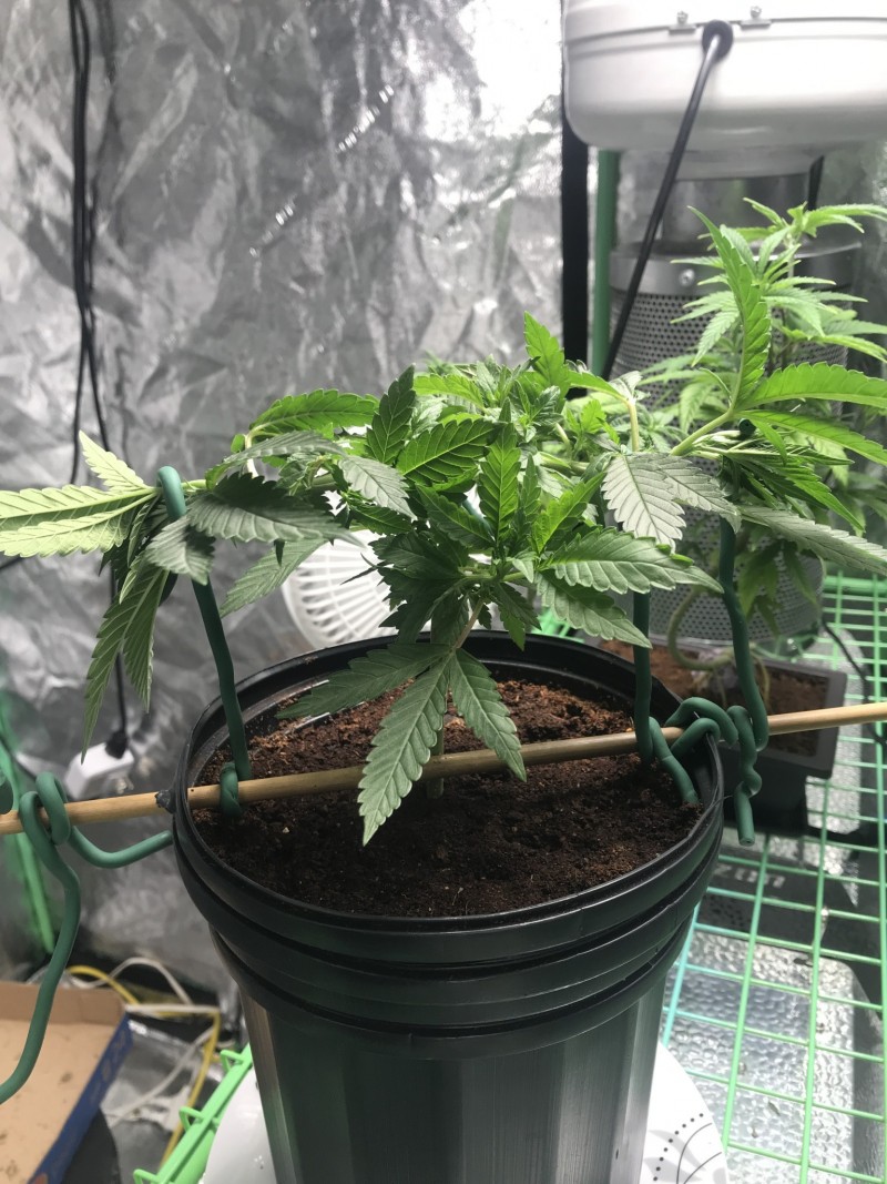 1FC6DB0A-565E-40DE-8465-E3F2A787C893