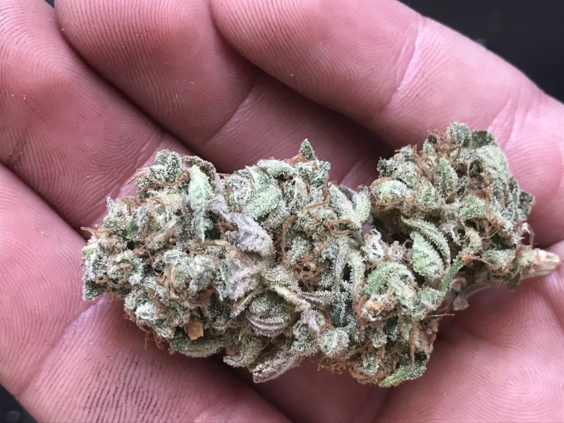 1D41BEF1-DBE8-4D3A-BE48-A46B92A21E98