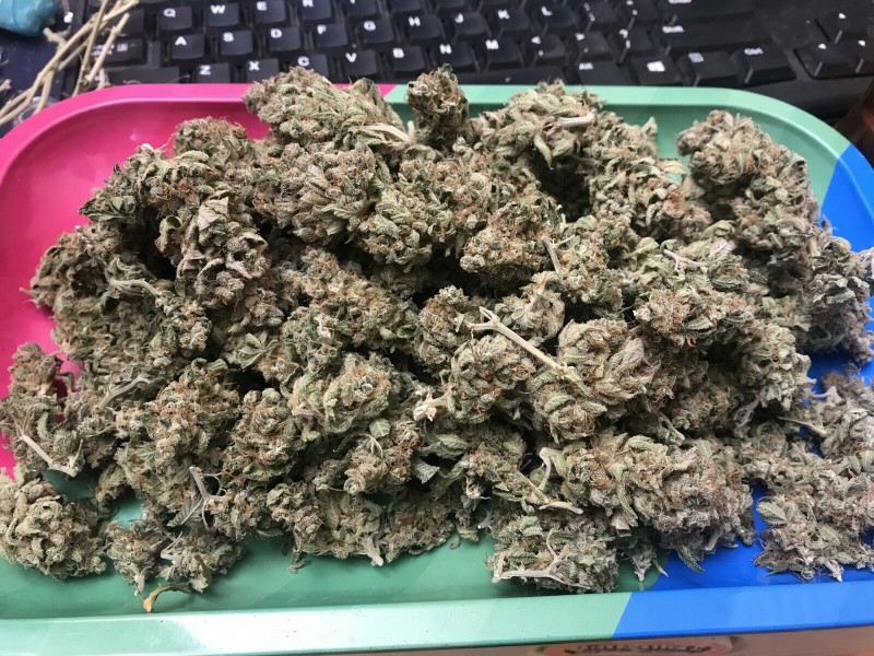 A71793E5-5B47-4253-B6E5-6C412D1A77FB