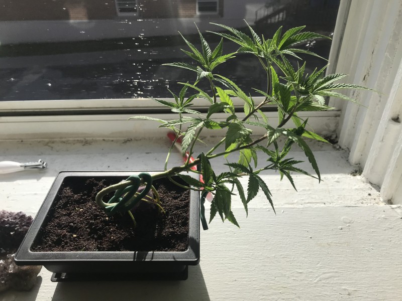 1F89E17A-EF31-4FE3-86CA-95FAD539CABE