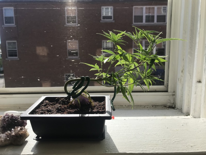 C20D9E45-B006-4119-821E-2A156AA2BC7D