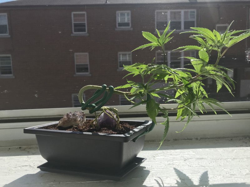 3EBCC5AD-D3E5-436D-98A5-BDBC2041EA47